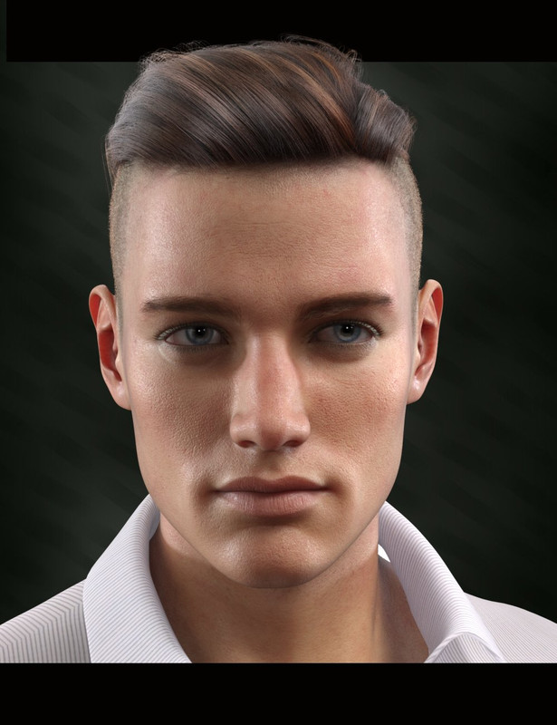 Bold Brows II Merchant Resource for Genesis 8 and 8.1 Males Bold Brows II Merchant Resource for Genesis 8 and 8.1 Males