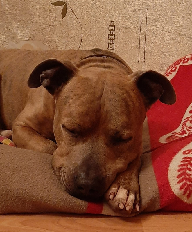 273F357F-08C8-42FF-9634-D936DE146898