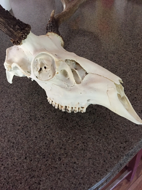 80C165E9-B48E-4AC3-A052-6E9D1379BEDC