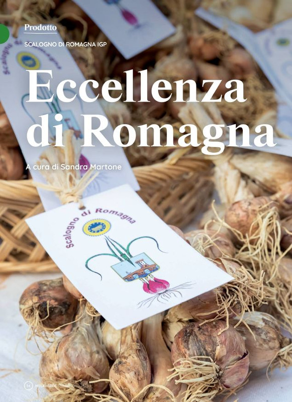 melaverde Set 2023 (1)