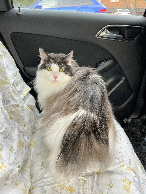 29-D3-D9-B3-AE1-F-4-FE6-81-F7-E0-F184-C8