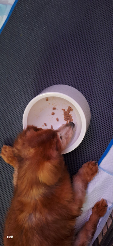 [Image: 20250603-202852.jpg]