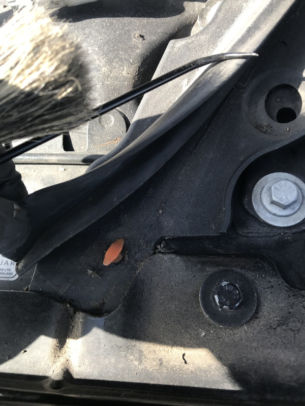 A8568C68-1BEE-464A-B34D-A24DC6D2763E