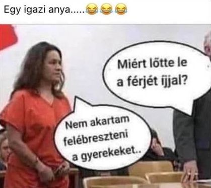 https://i.postimg.cc/CKD2XVyv/egy-igazi-anya.jpg