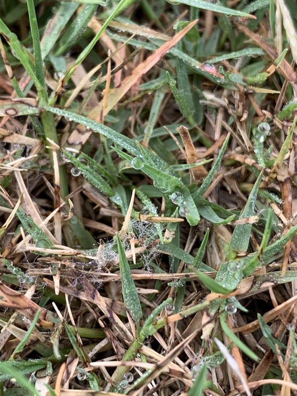 B250D9F0-14B4-4F58-9C0E-F189D3C58167