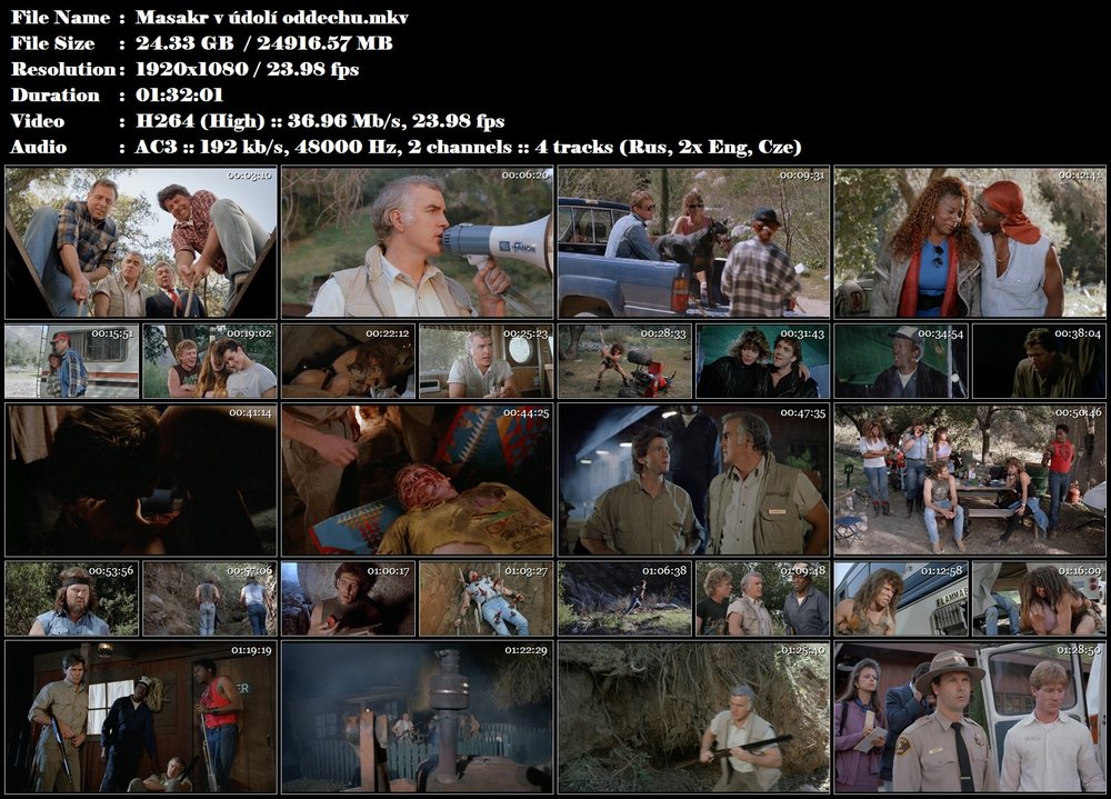 Masakr v údolí oddechu / Memorial Valley Massacre (1988)