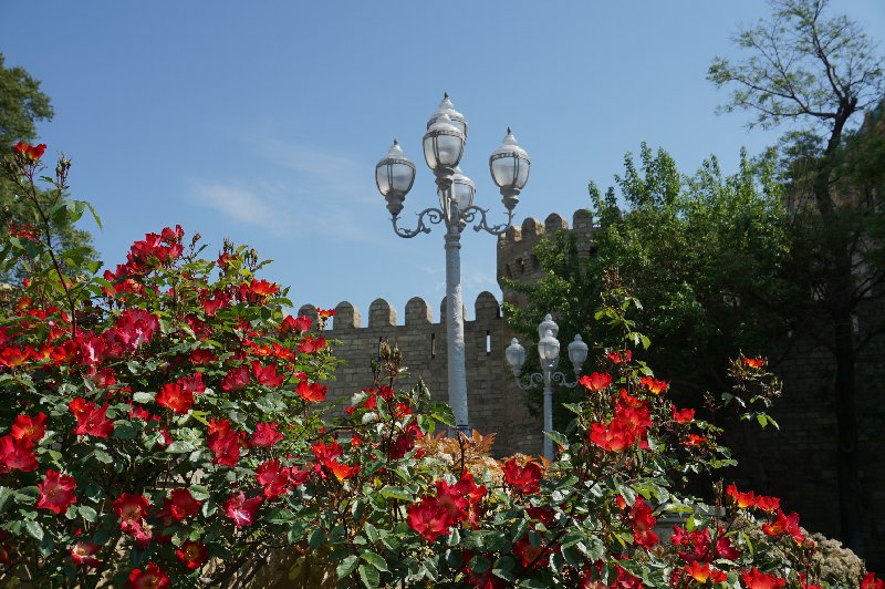https://i.postimg.cc/CKDJ37HH/109-DSC06504.jpg