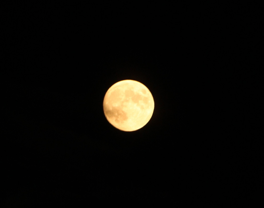 IMG_2397