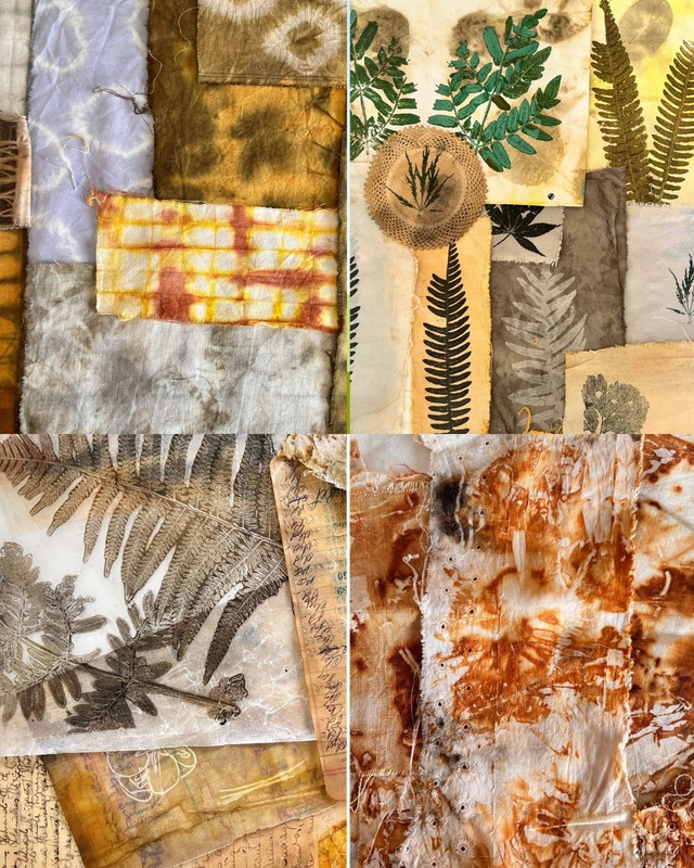 Hands holding nature printed pages and journals