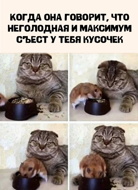 [Изображение: 3d390df1607715a534983bcab519e973.jpg]