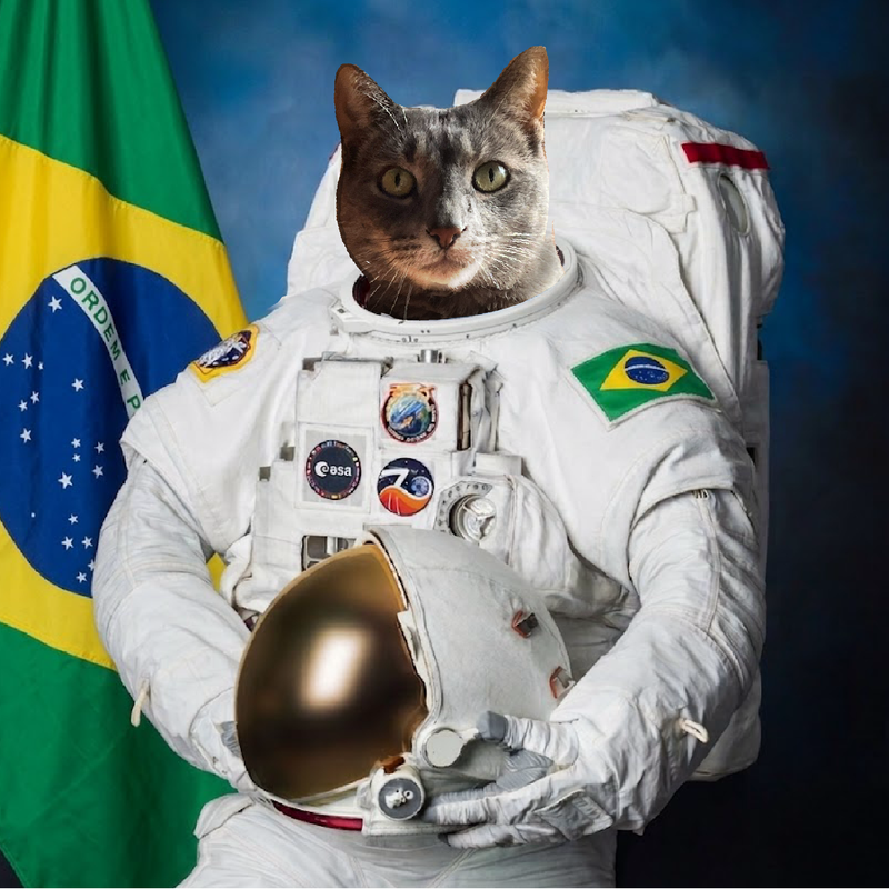 The Director's primary muse — the cat