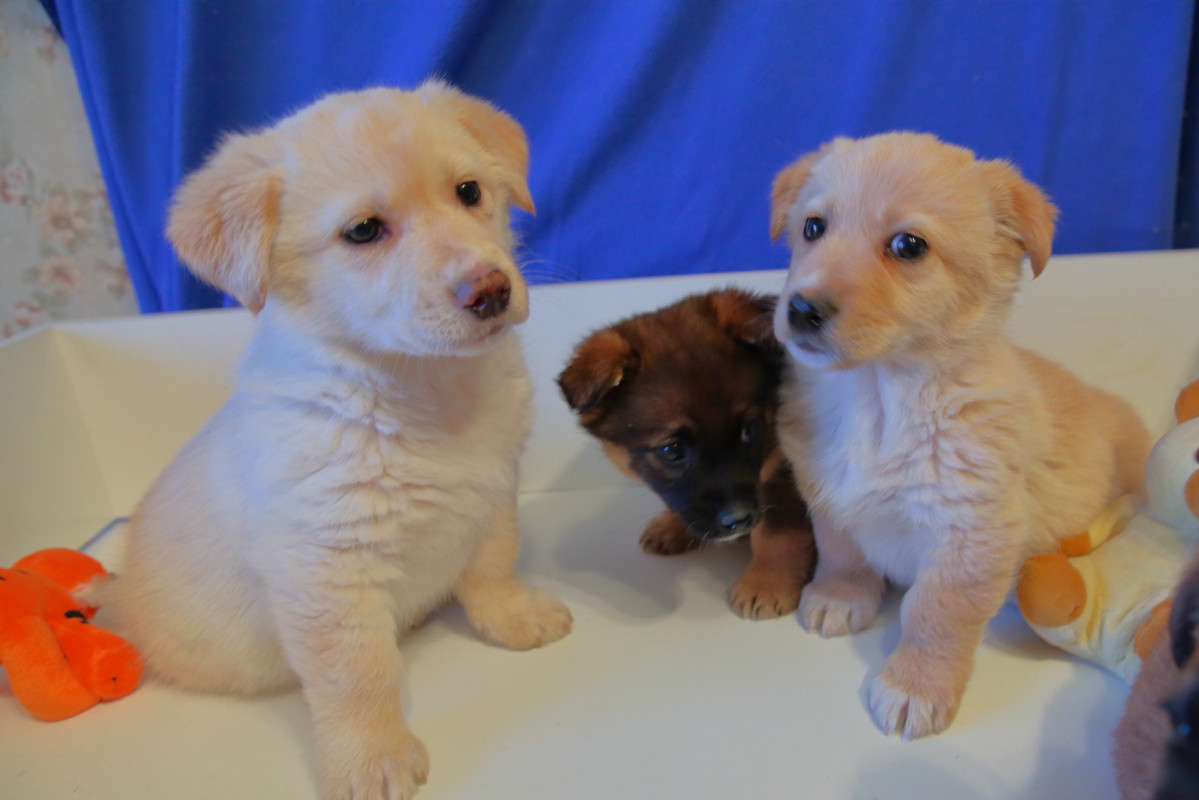 EA459861-7045-4F8B-9ED6-49D96DE0D643