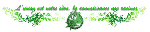 https://i.postimg.cc/CKDhTXDv/bbcode-absynthe-2.png