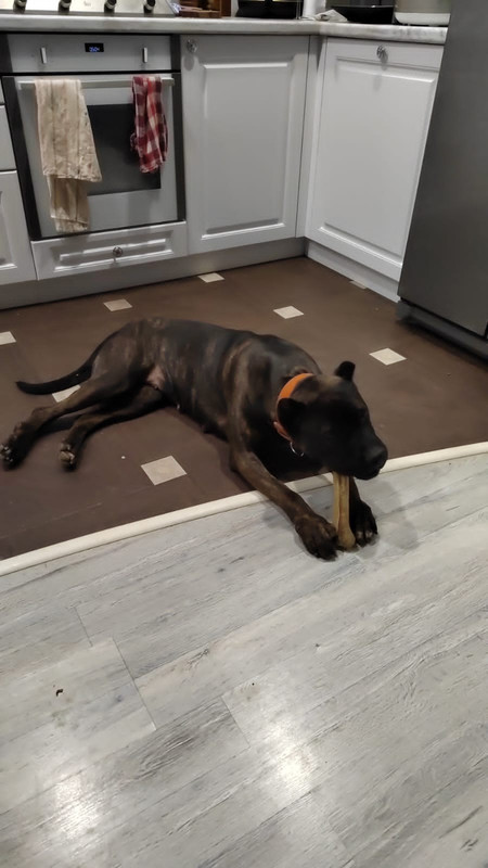 880A0721-0BBF-41E5-8D34-D447DBFDA3C0