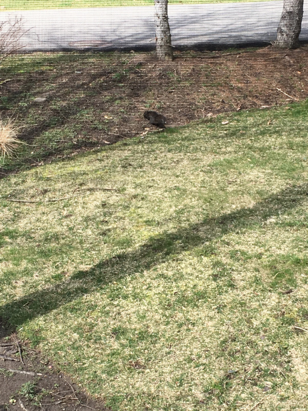 E42CA100-404A-4D52-A36B-5DC4A0243CEA