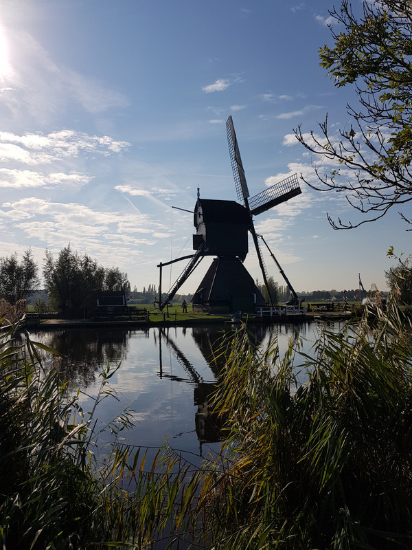 Pieter, De Blokker - Blokweerse Wip 12 Alblasserdam (Kinderdijk)