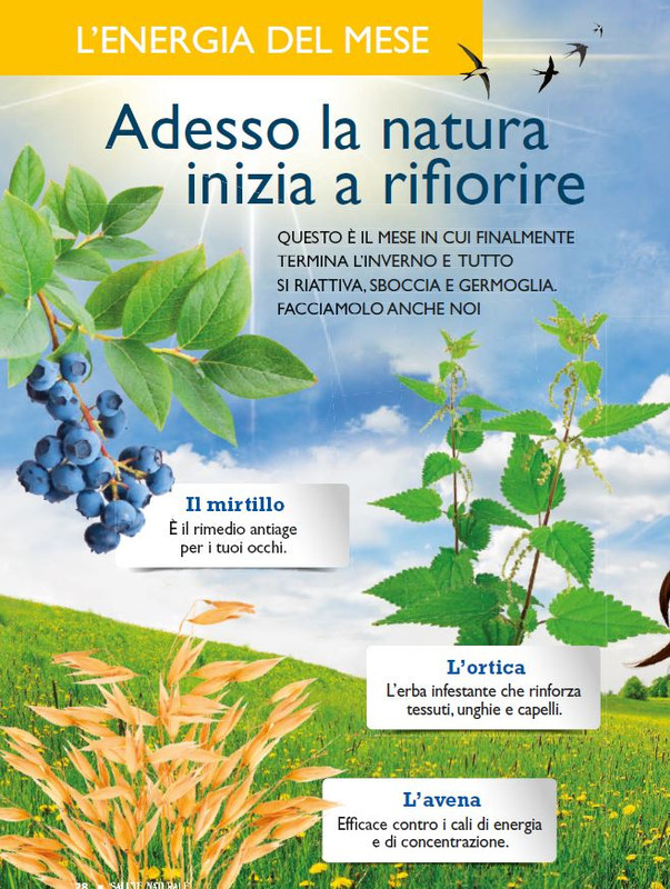 Sal Nat Mar 2025 (1)