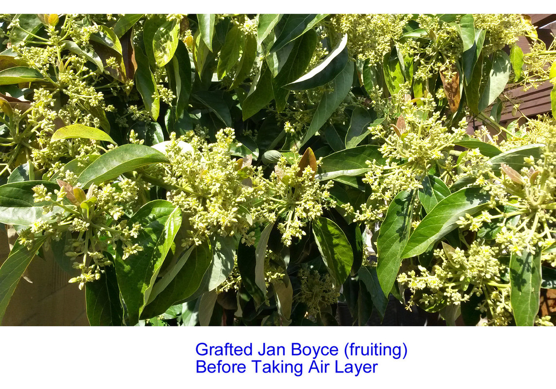 JB-Air-Pic11(Before)