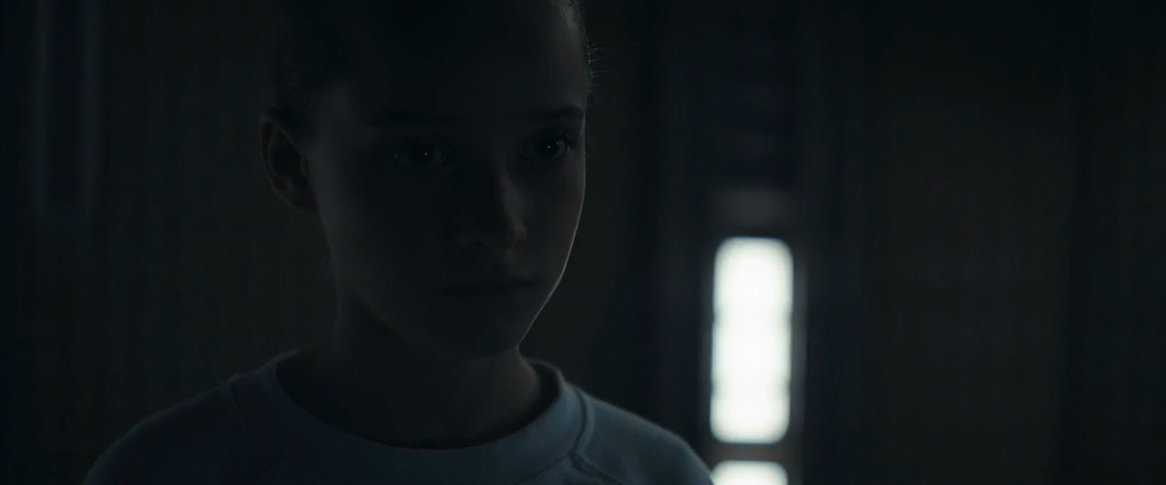 The Colony 2021 BluRay [Hindi + Tamil + Telugu + English] 480p, 720p ESub Screenshot