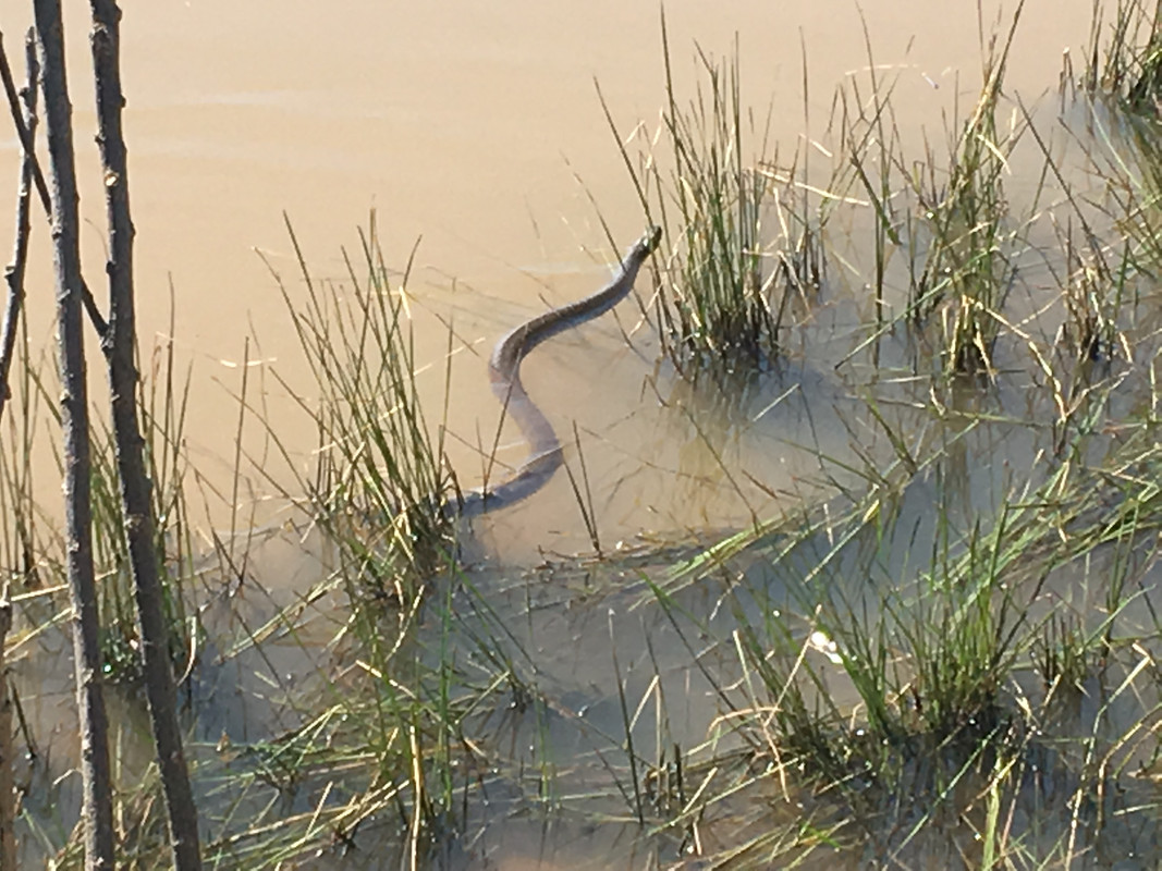 614D40A7-087B-4F8A-A8D0-5EF2251E2362