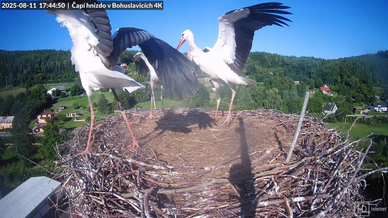 Tiešraide no KARA uzņēmuma stārķu skursteņa Bohuslavicē netālu no Trutnovas 13-30-38 screenshot
