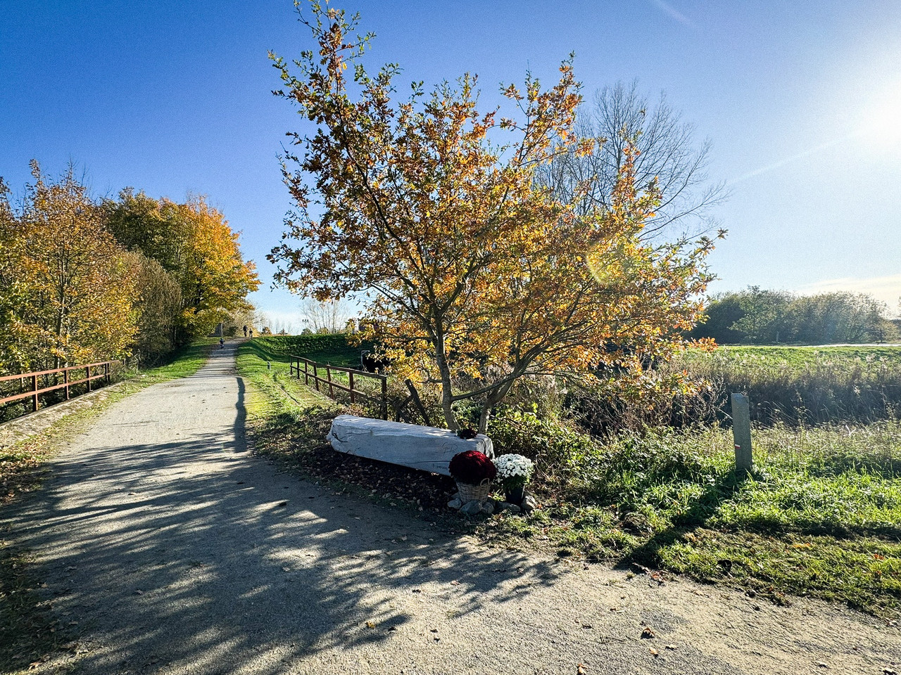 577766773-1280039820831170-7866690987592247659-n