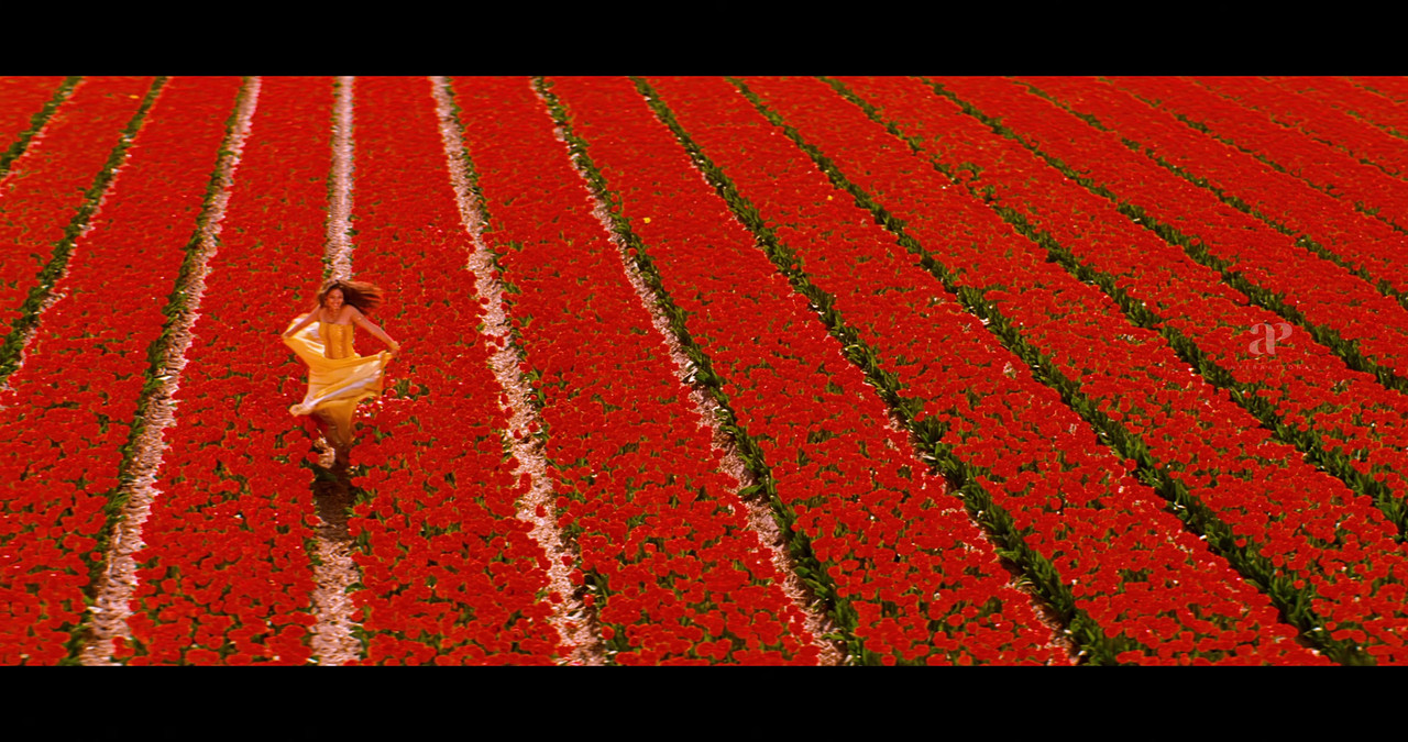 VideoCapture_20241122-200338