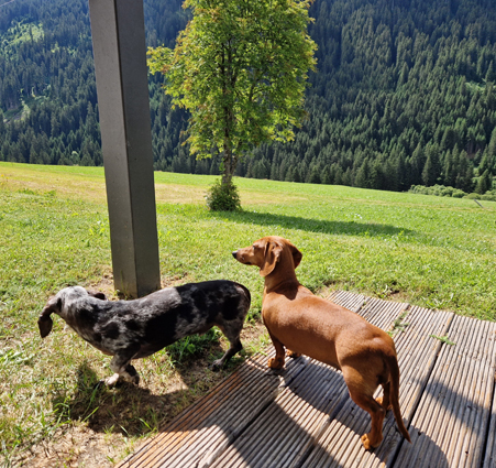 [Image: 20230701-104856.jpg]