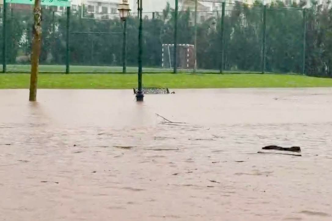 FB-IMG-1770204496627