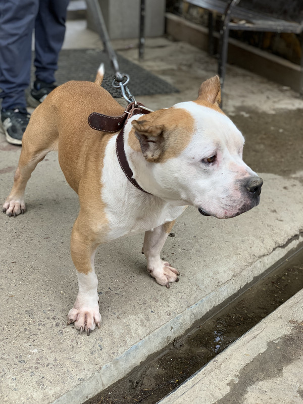 B1065196-44C2-4DFD-9831-B6B516DE1001