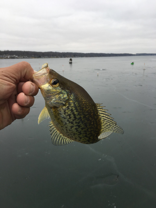 8AE42464-0BC5-4584-BFF8-BAC2BDD884E8