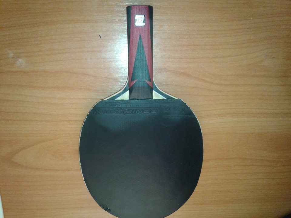 lemn1