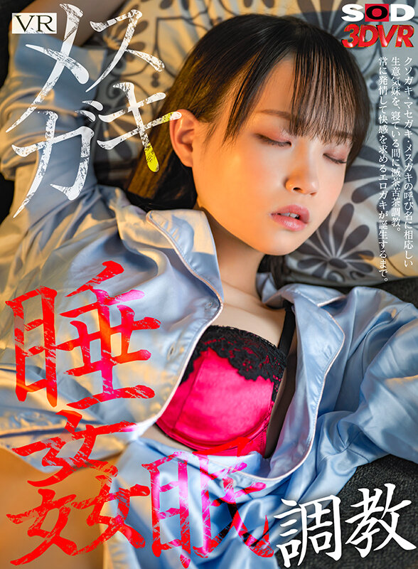 13dsvr01355jp-1.jpg