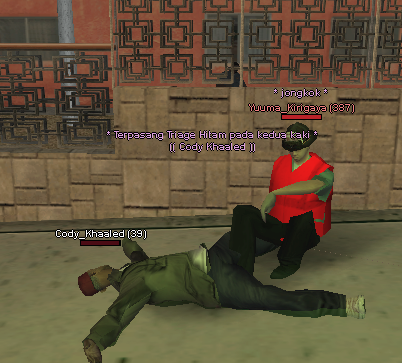 sa-mp-355-1.png