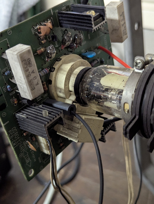 PXL_20250310_131611347