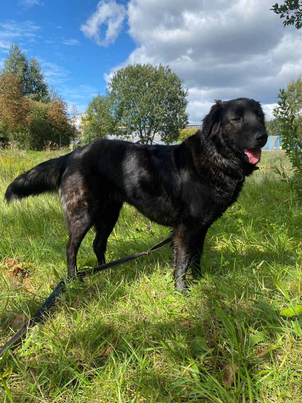 23A9B2D4-FDAA-40D4-B053-E5FAEC3AAE83