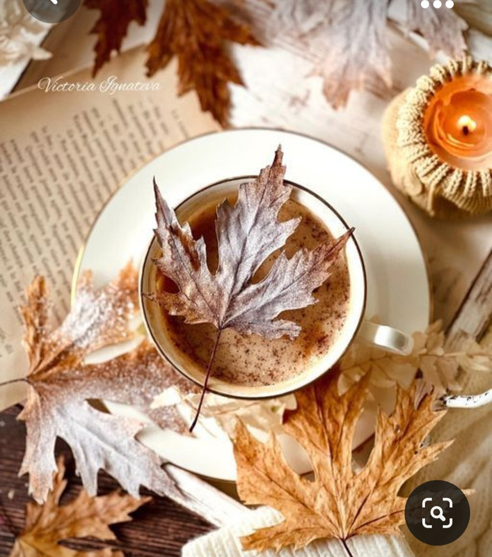 Screenshot_20231031_170643_Pinterest