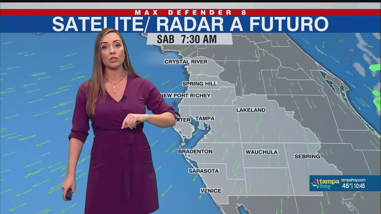 Noticias Tampa Hoy_20250125_03300400.ts_snapshot_16.23.336
