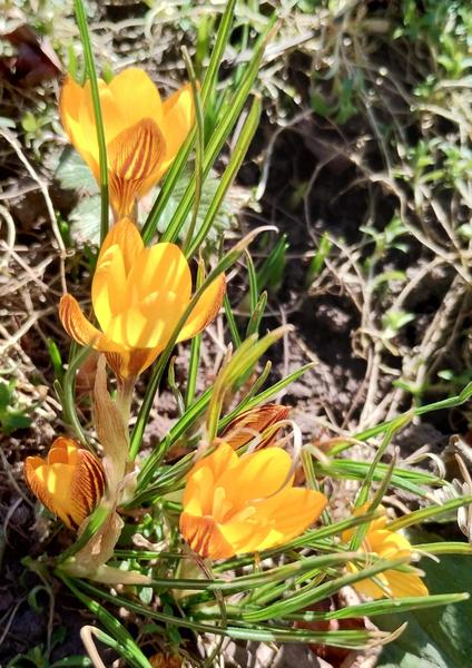 изображение viber 2026 03 06 14 42 53 389