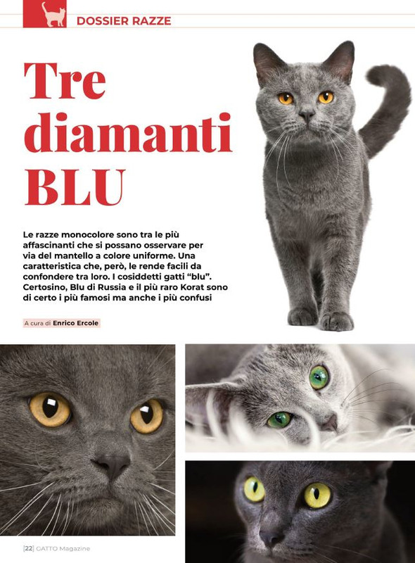 Ga Ma Giu-Lug 2021 (3)