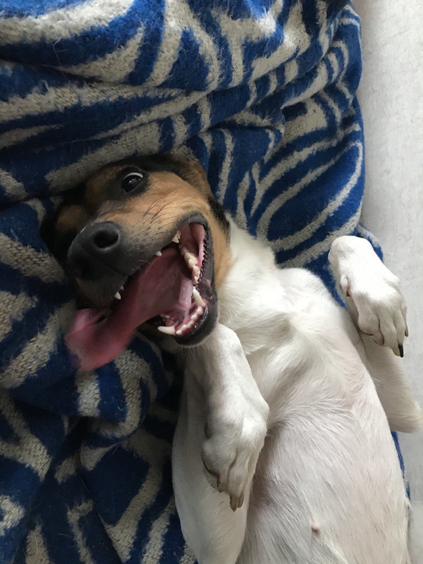 17685333-343D-4421-904E-A21424F0BAE4