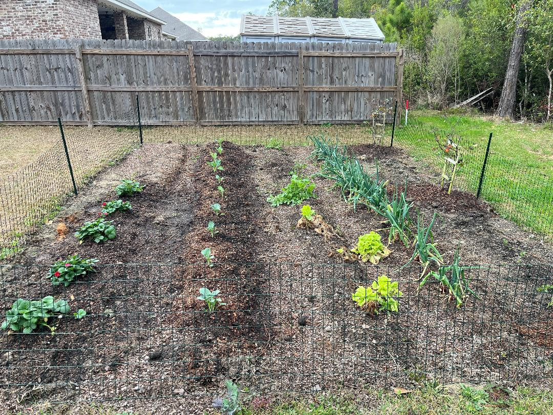 thumbnail 2026 02 17T153726 014