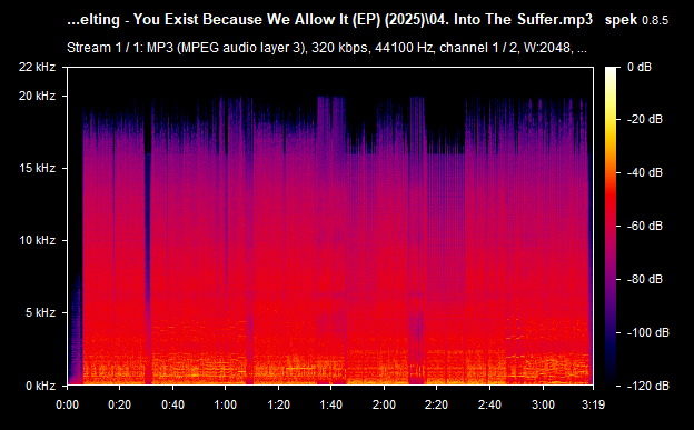 04. Into The Suffer.mp3