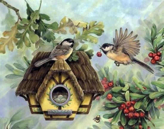 vogelnestje