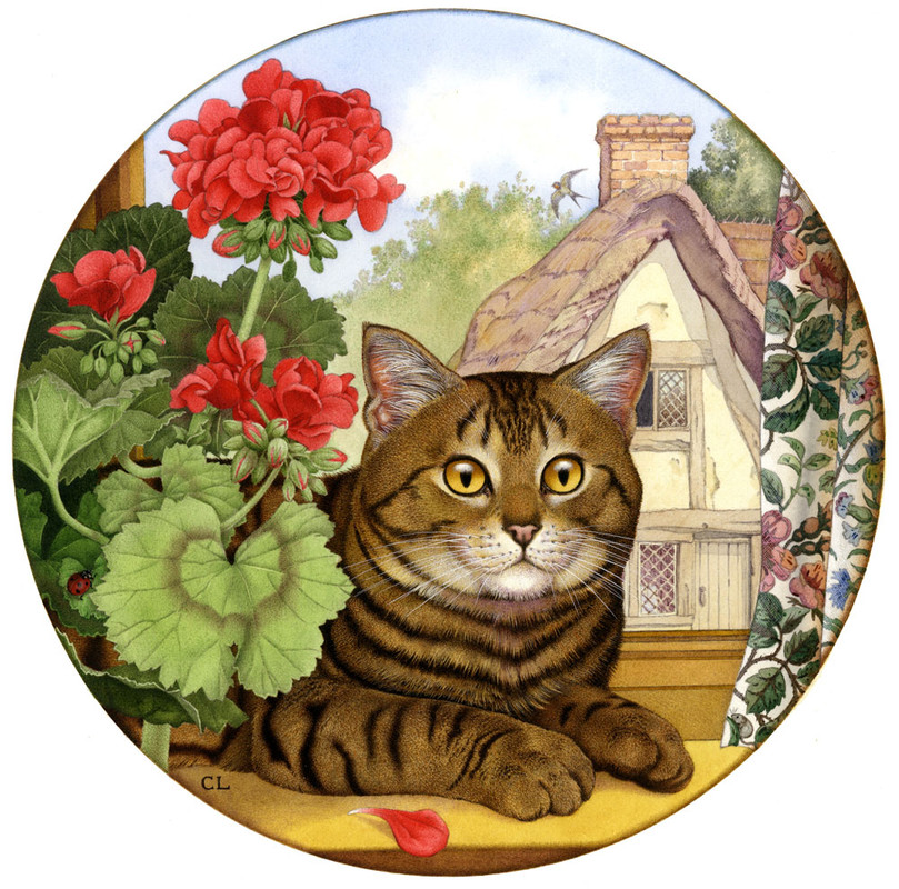 Tabby-Cat