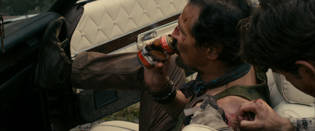 Stake Land (2010) (1080p BluRay x265 r00t)-6