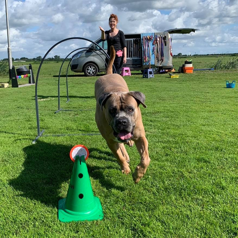 228843348_2689030264723567_5393233325821523042_n