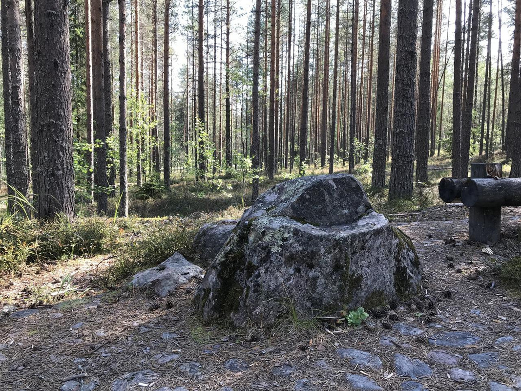 IMG 9597