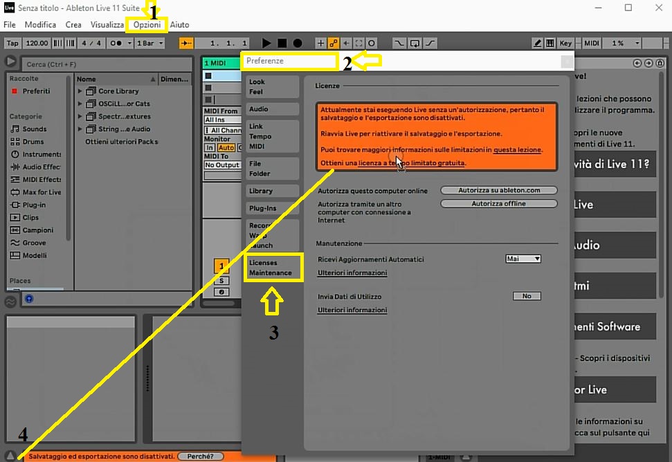 Ableton Live 11 (Autor 2)