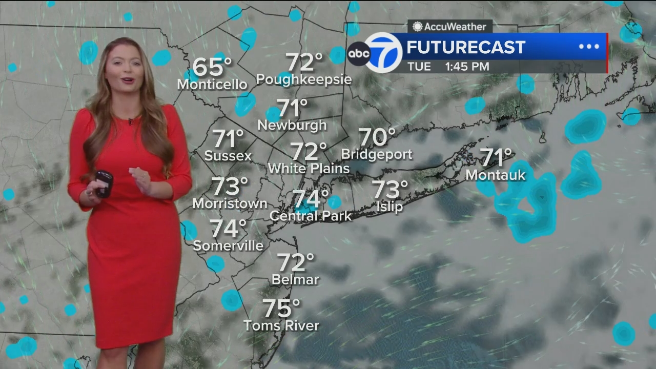 Eyewitness News Mornings at 10_20240610_15001600.ts_snapshot_00.16.42.767